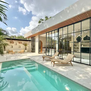 The Dreamland By The Young Villa
